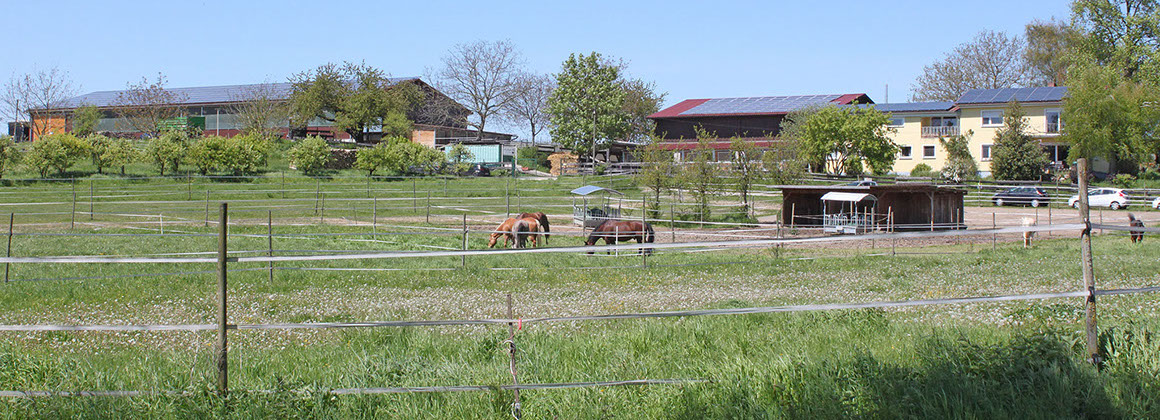 Reitstall Lörch Hof Tiengen